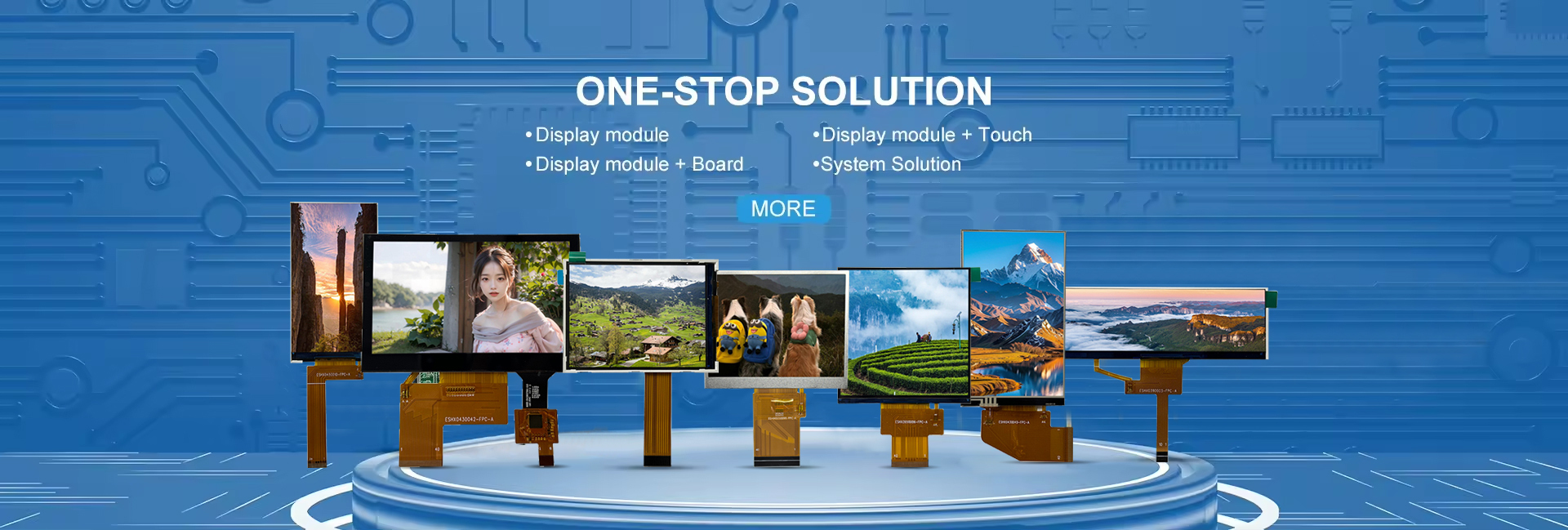 Calidad módulo de TFT LCD fábrica