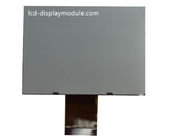 DIENTE módulo gráfico FSTN Transflective positivo de 240 de x 160 LCD con ángulo de las 6